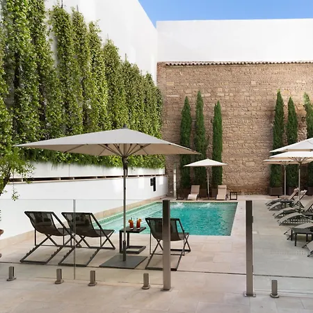 H10 Palacio Colomera Отель 4*