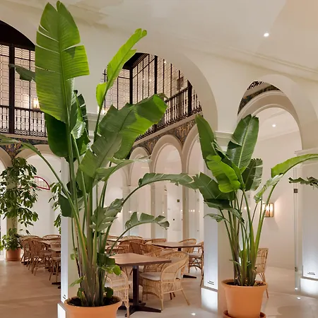 H10 Palacio Colomera 호텔 4*
