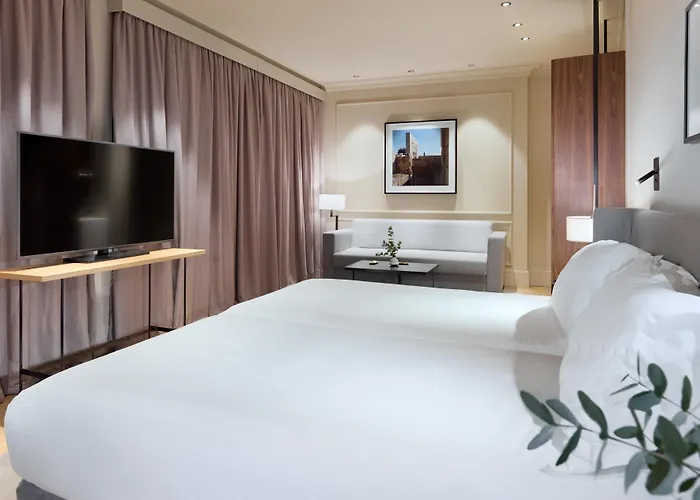 H10 Palacio Colomera Otel 4*